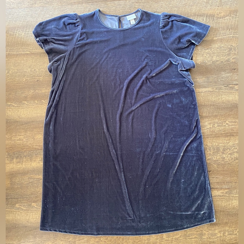 Ava & Viv | Blue Velvet Dress